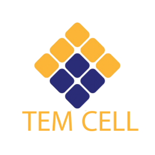 temceldsfdfl-300x300 temceldsfdfl-300x300